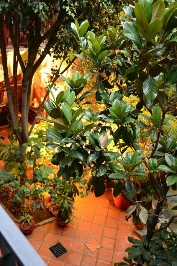 Hotel Casa Guiva Oaxaca ภายนอก รูปภาพ