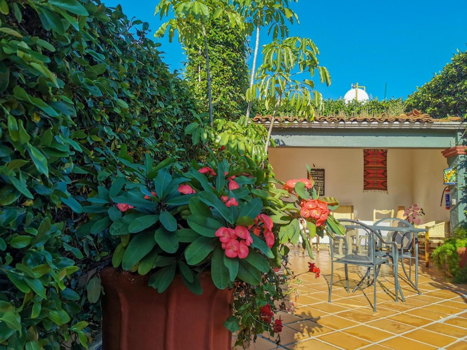 Hotel Casa Guiva Oaxaca ภายนอก รูปภาพ