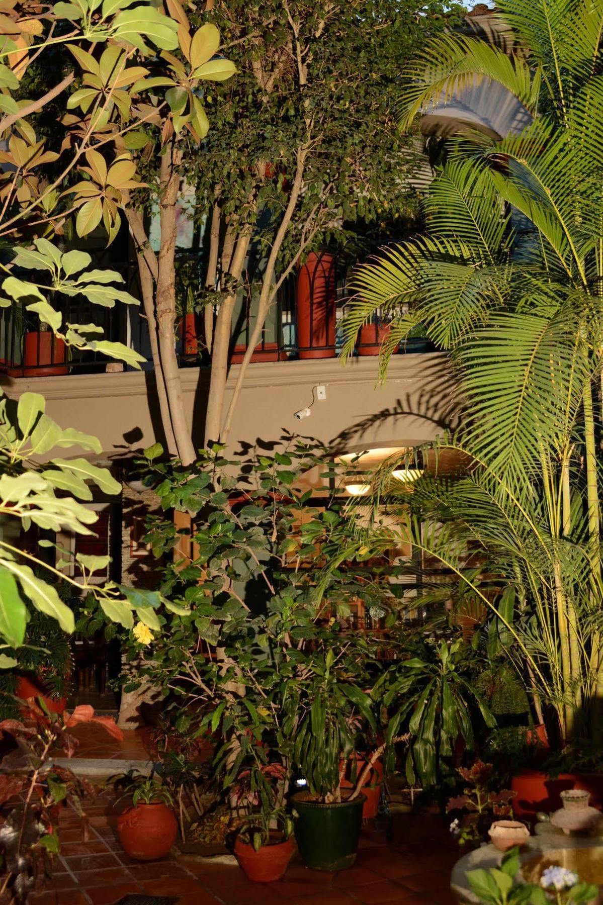 Hotel Casa Guiva Oaxaca ภายนอก รูปภาพ